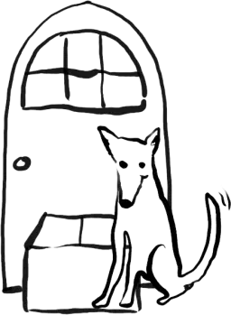 Dog in front of door